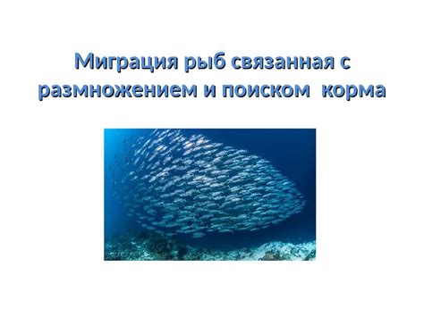 Миграция для размножения и поиском партнера