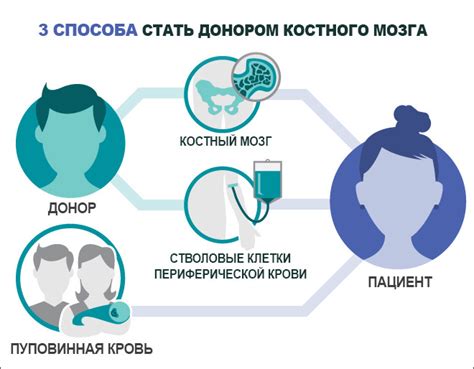 Минимальный возраст для донорства костного мозга