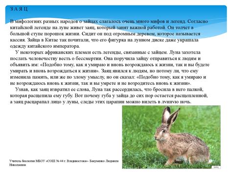 Мифы и легенды о мандаринах