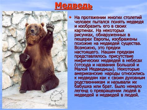 Мифы и легенды о плаче лягушек