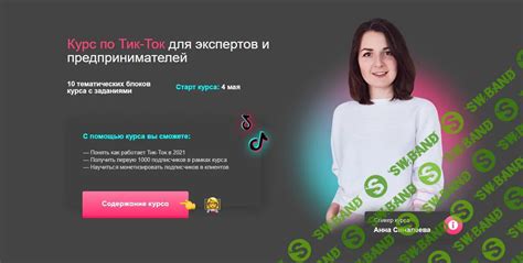 Мнение экспертов о блокировке Тик Ток