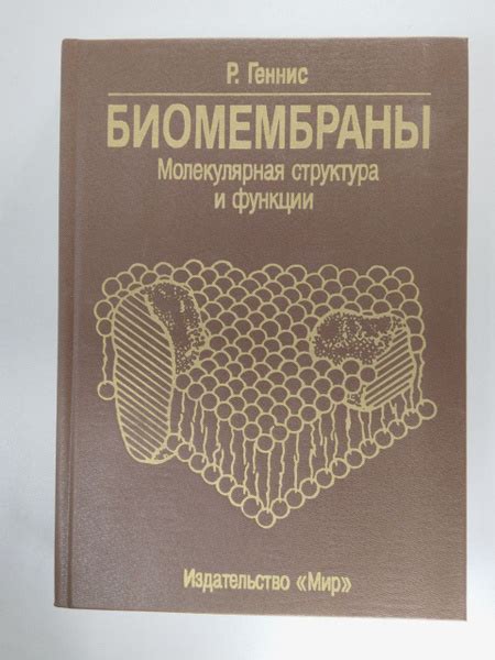 Молекулярная структура: влияние на характеристики