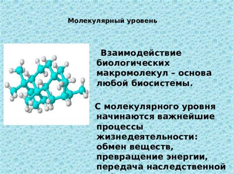 Молекулярный хаос
