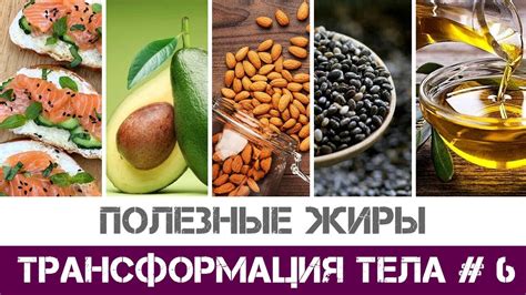 Молоко как источник полезных жиров: важность анализа