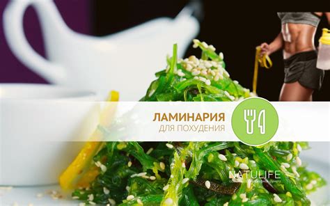 Морская капуста для похудения: варианты использования
