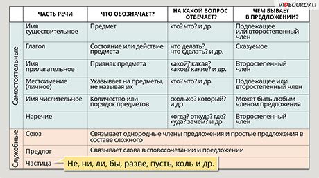 Морфологические признаки перцевых ботанических частей