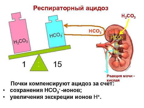 Мочевые показатели при ацидозе: