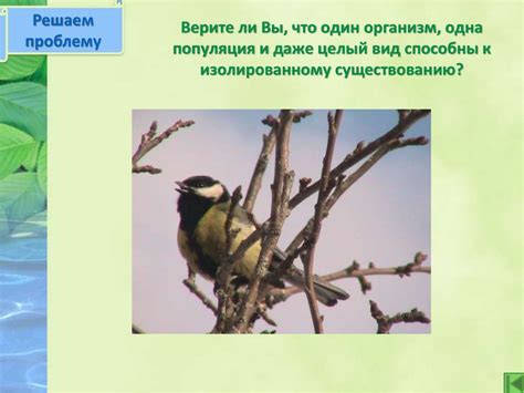 Мошки и межвидовая коммуникация