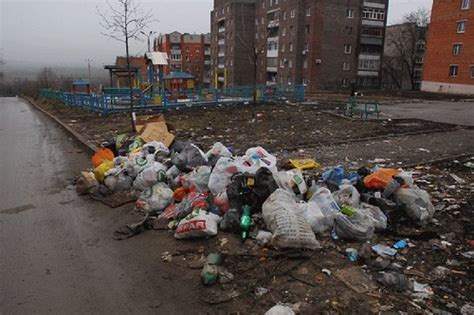 Мусор на улицах привлекает вредителей и грызунов