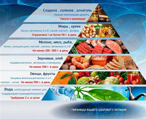 Мусульманское питание: правила и принципы для верующих