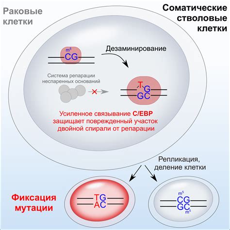 Мутация и уникальность