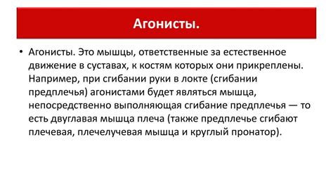 Мышцы, ответственные за движение век