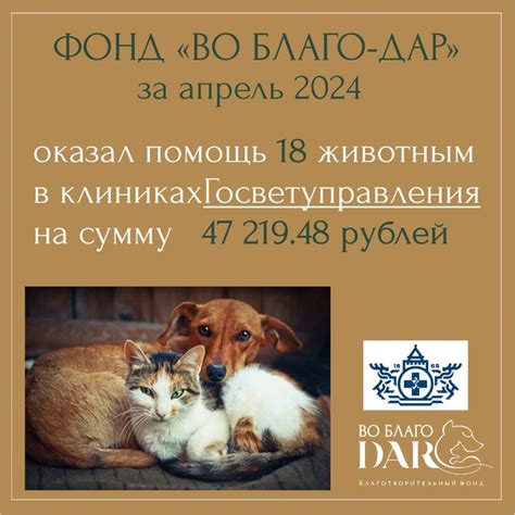 Мы хотим помочь всем
