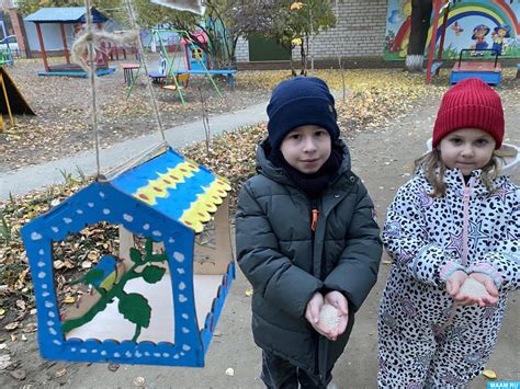 Наблюдение за птицами и поддержание кормушки