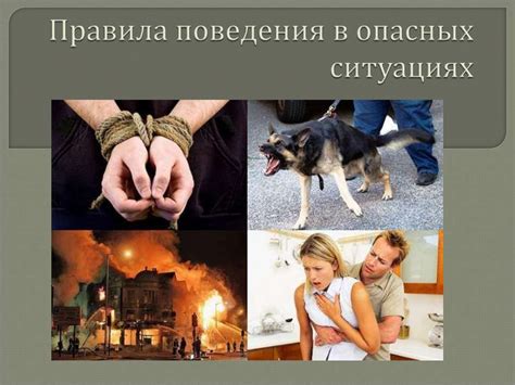 Надежный компаньон в опасных ситуациях