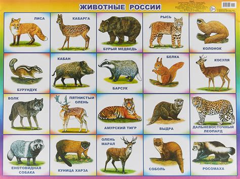 Названия животных в почтовой службе