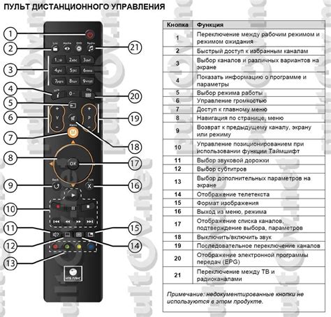 Назначение и разновидности кнопок