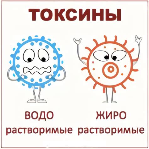 Накопление токсинов