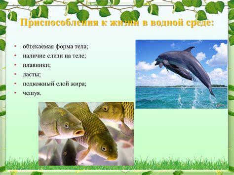 Наличие слизи