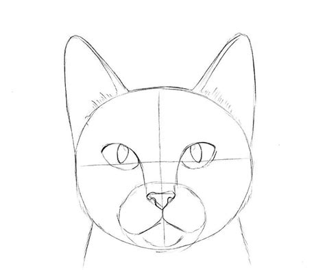 Нарисовать лицо кота