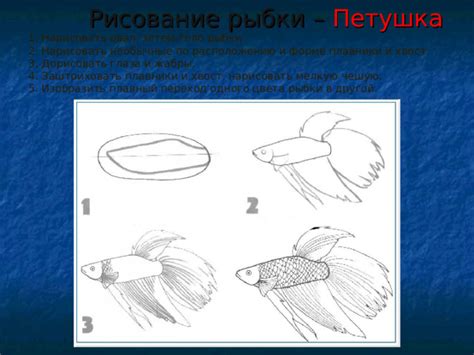 Нарисовать плавники и уса