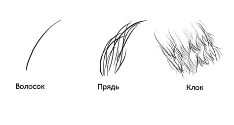 Нарисовать хвост и шерсть