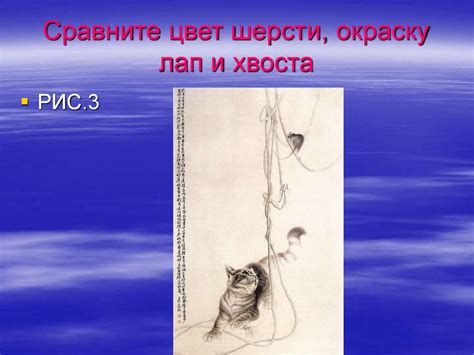 Нарисовка лап и хвоста