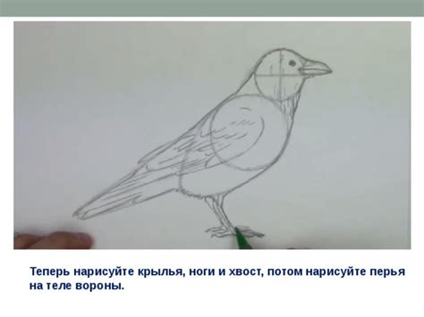 Нарисуйте крылья на обоих сторонах тела
