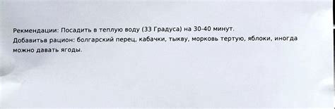 Нарисуйте полосы на панцире