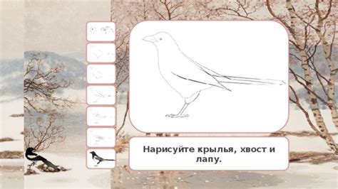 Нарисуйте тело и хвост