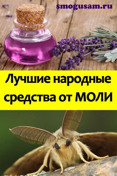 Народные средства от душащего эффекта домового
