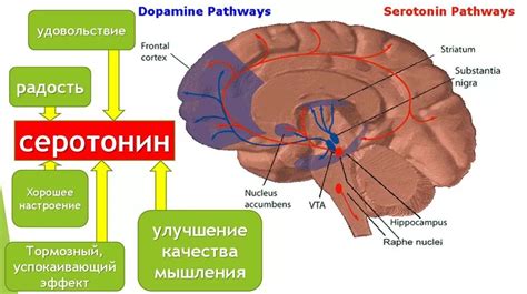 Нарушение баланса серотонина