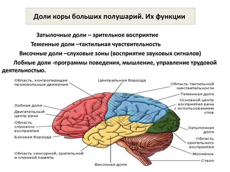Нарушение работы мозга