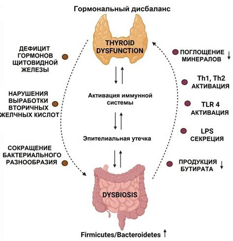 Нарушение работы щитовидной железы и обмена веществ