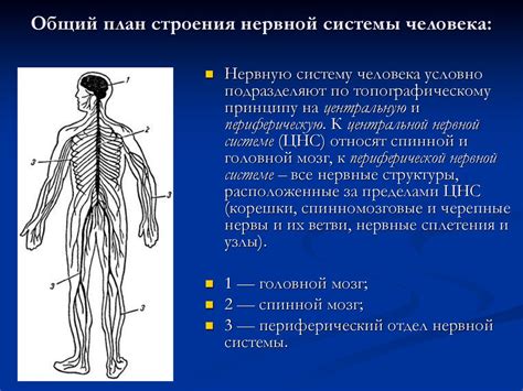 Нарушение функции нервной системы