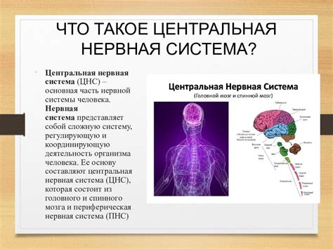Нарушение центральной нервной системы: