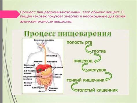 Нарушения пищеварения и усвоения питательных веществ