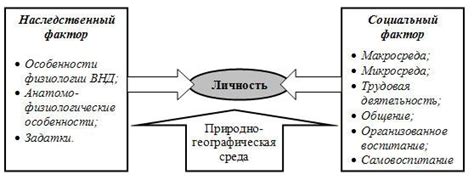 Наследственность и психологические факторы в поведении агрессоров