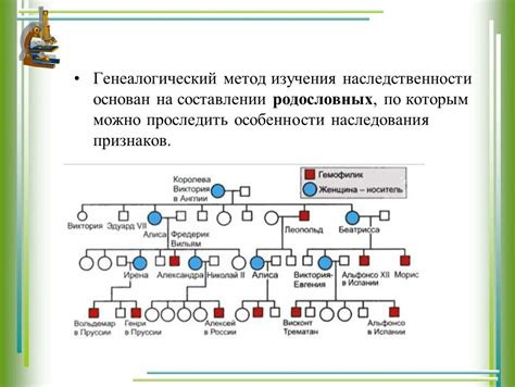 Наследство и генеалогический контекст