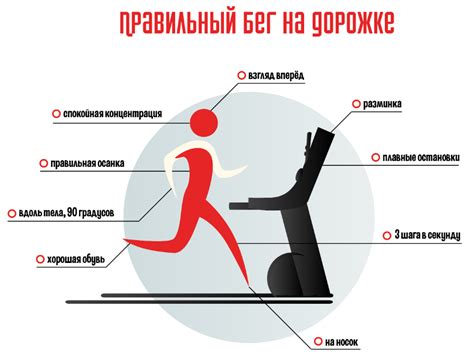 Настоятельные рекомендации: как минимизировать риск вреда от бега на беговой дорожке