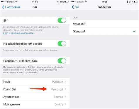Настройка голоса Siri