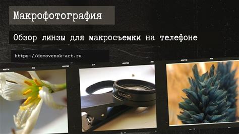 Настройка камеры для макросъемки