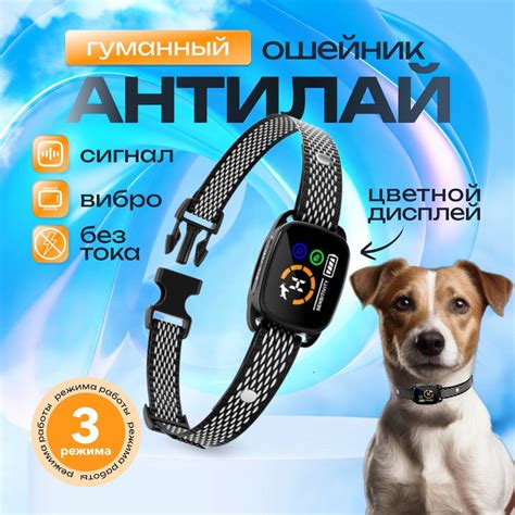 Настройка ошейника антилай с вибрацией
