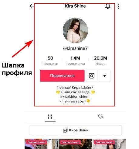 Настройка профиля на TikTok: как заполнить информацию