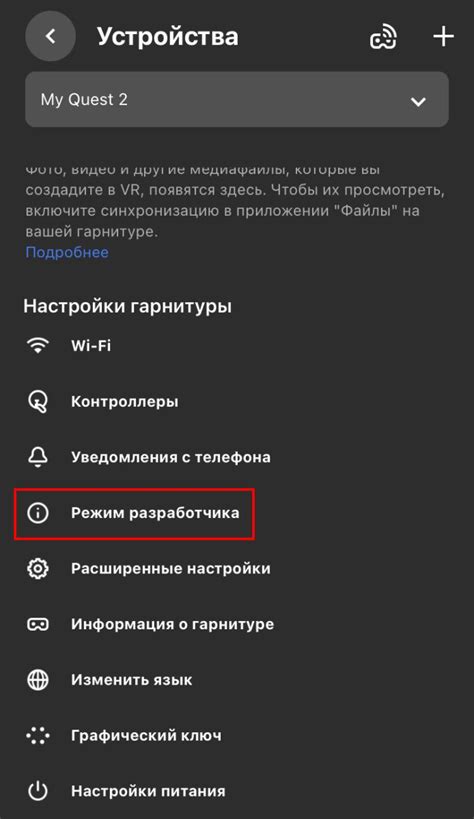 Настройка разработчика