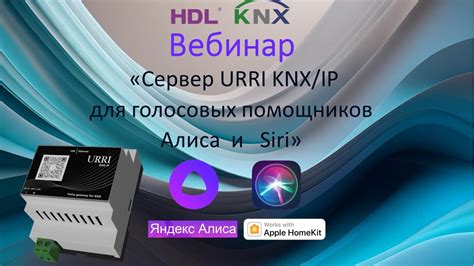 Настройки и подключение