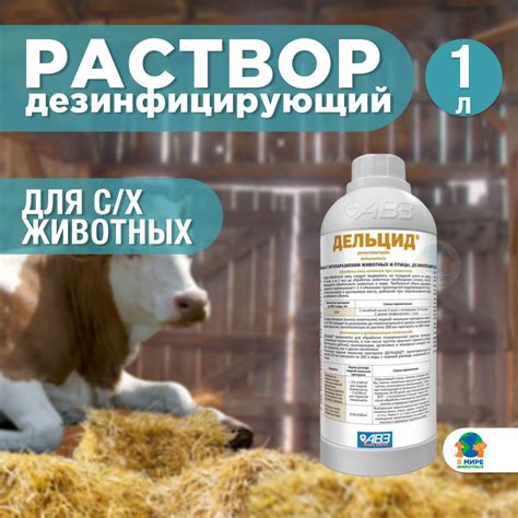 Натуральные средства для борьбы с бычьим цепенем