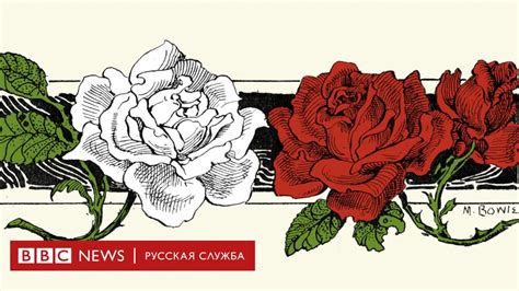 Национальные эмблемы: алые и белые розы в Британии