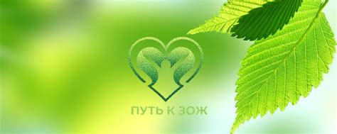 Начало пути к удобству
