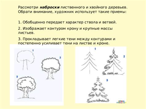 Начало работы: создание ствола и ветвей